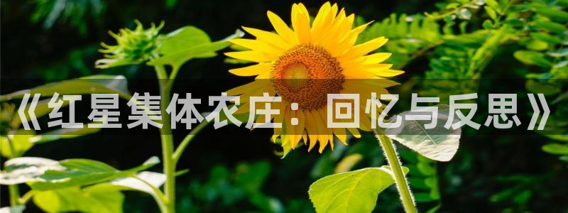 至尊天龙fh7075：《红星集体农庄：回忆与反思》