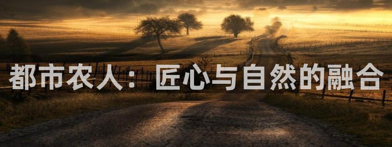 fh至尊网页登入