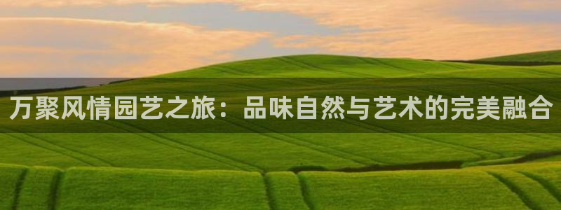 fh至尊双色球开奖结果