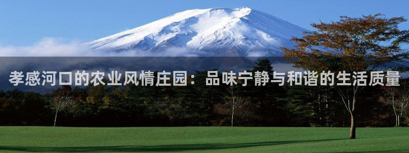 fh至尊游戏代理