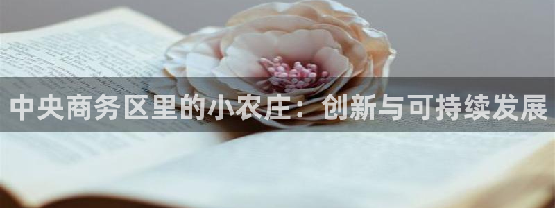 FH至尊隶属哪家公司