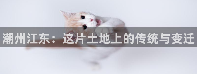 FH至尊平台