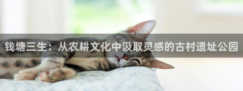 fh至尊游戏玩法