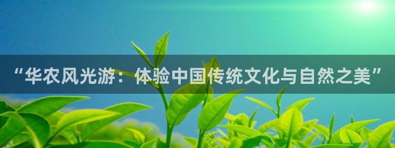 fh至尊平