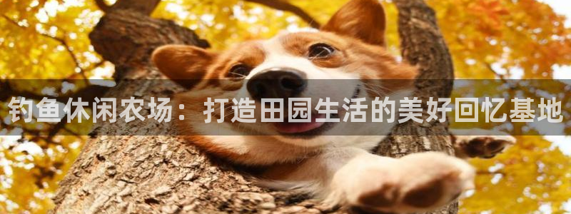 fh至尊平台怎么提现