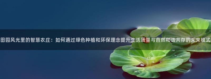 FH至尊官方入口