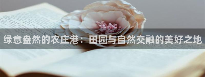 fh至尊凤凰平台下载