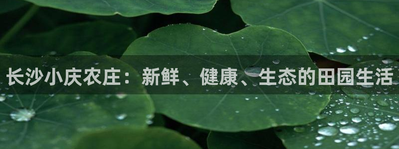 FH至尊是什么意思