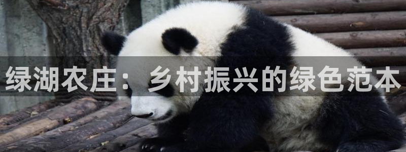 fh至尊平台怎么提现