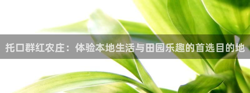 fh至尊基础奖金多少