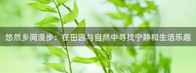 fh至尊凤凰是赌博