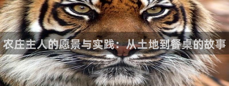 FH至尊开户