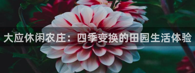 FH至尊平台怎么样