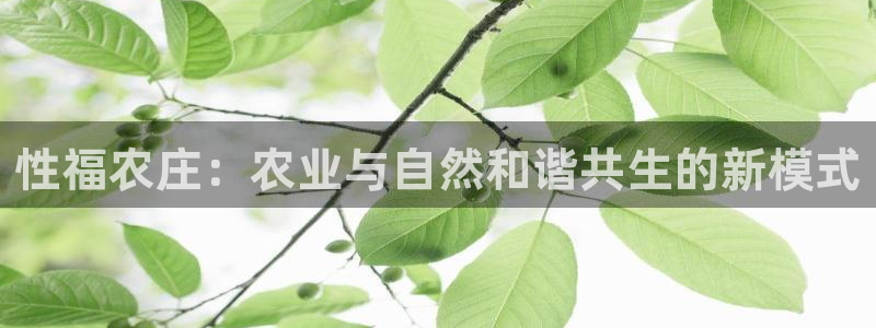 fh至尊诚信19年