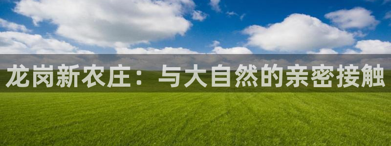 fh至尊是老凤凰平台么