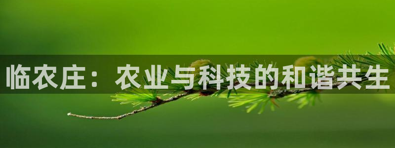FH至尊娱乐下载二维码
