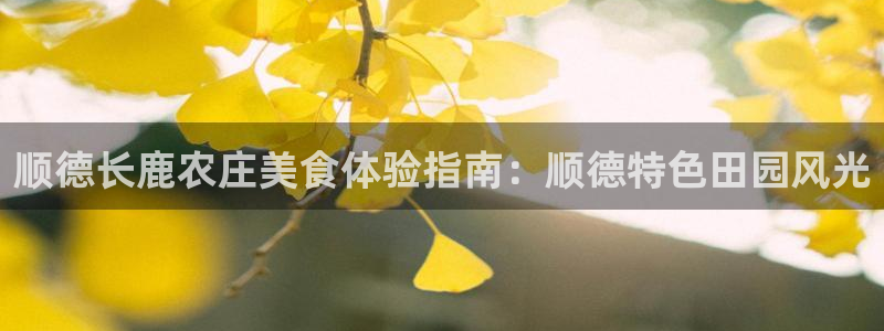 fh至尊游戏安全平台