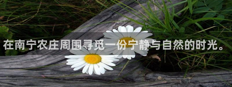 fh至尊凤凰是赌博