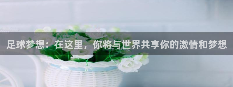 fh至尊在哪个平台