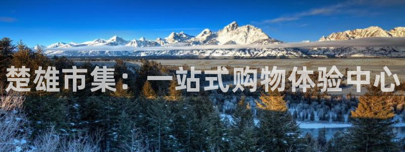 FH至尊平台怎样