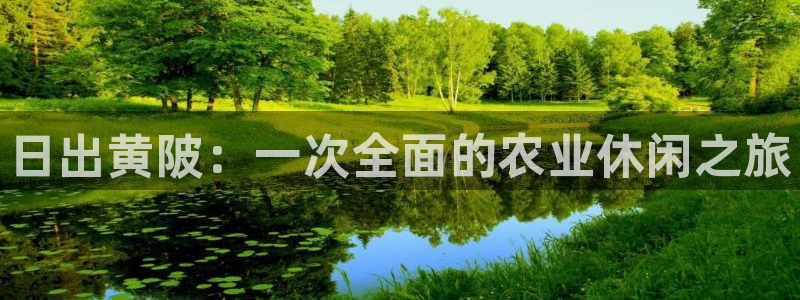 fh至尊网页登入