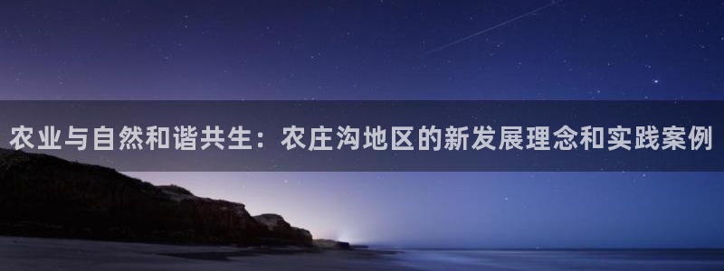 fh至尊诚信19年