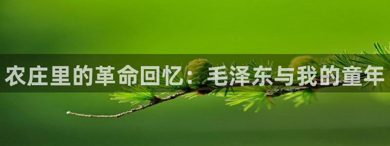 凤凰至尊fh凤凰版0a