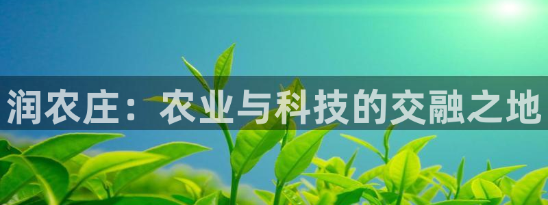 fh至尊是不是黑平台