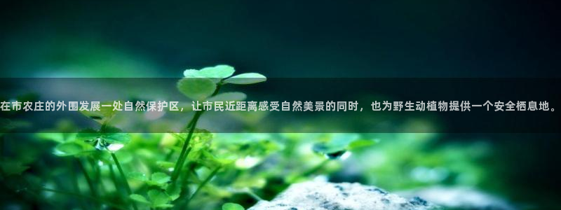 FH至尊是正规平台吗