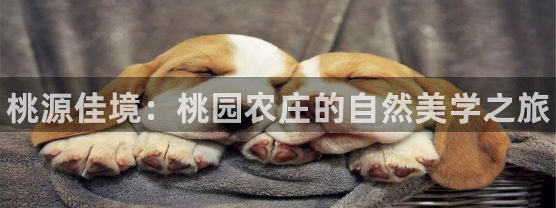 fh至尊官方旗舰店