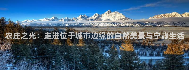 fh至尊游戏玩法