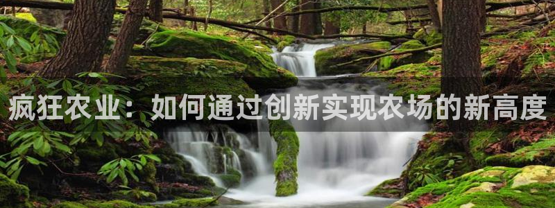 fh至尊游戏玩法