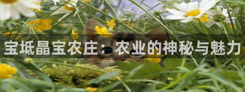 FH至尊娱乐平台