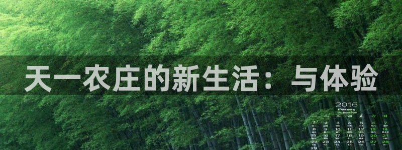 Fh至尊凤凰平台