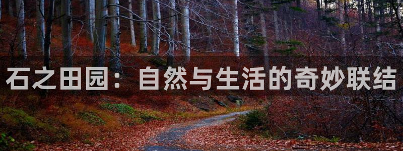 fh至尊平台冻结