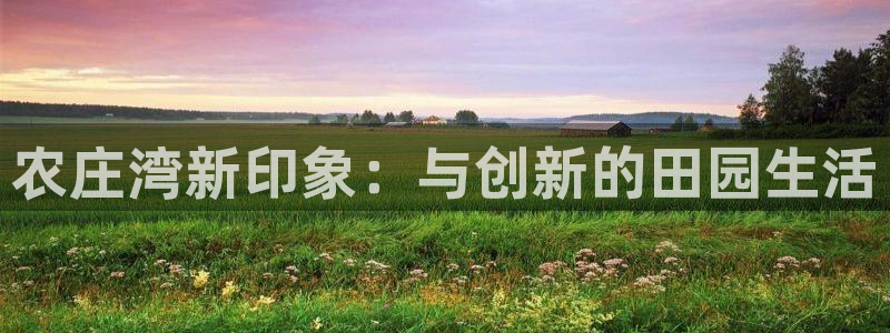 fh至尊凤凰消息的范本