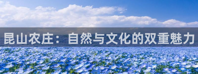 fh至尊在哪可以下载