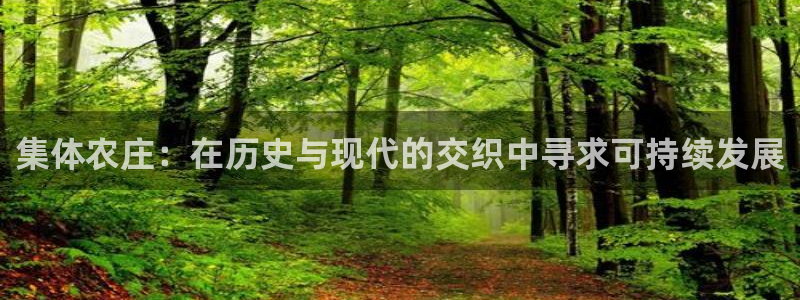 FH至尊平台
