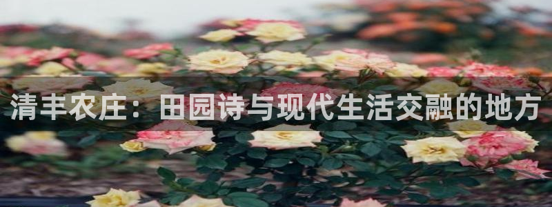 fh至尊平台冻结