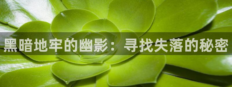 FH至尊下载