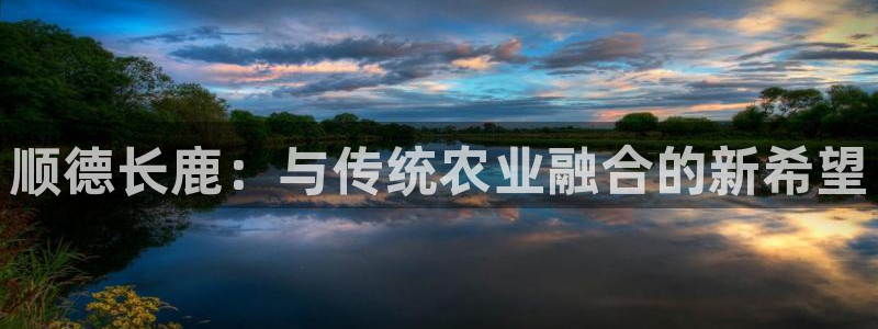 fh至尊