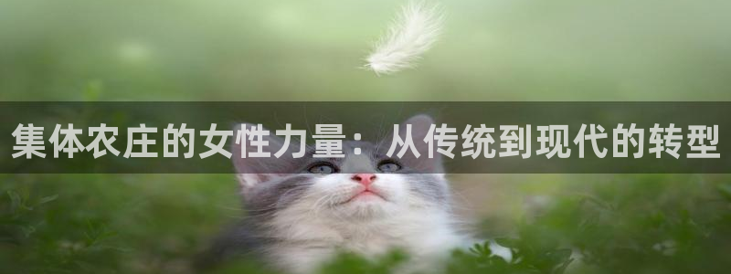 FH至尊公安