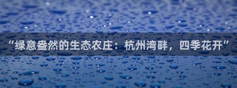 fh至尊为什么不更新了