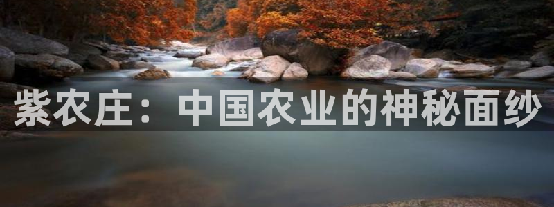 fh至尊游戏代理