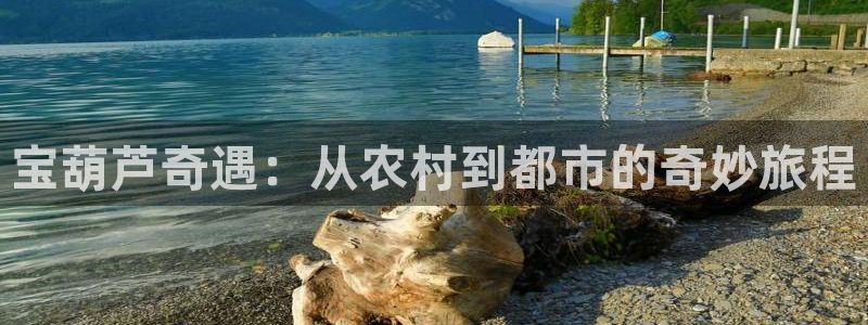 fh至尊基础奖金多少