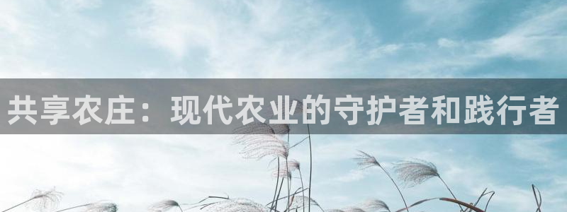 fh至尊是黑台子吗