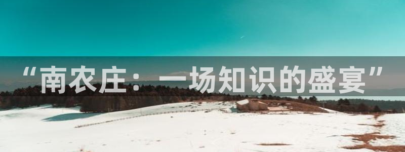 FH至尊是什么意思