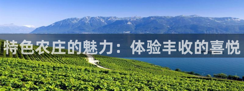 fh至尊凤凰消息的范本