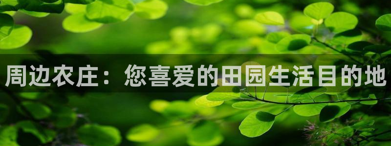 凤凰FH至尊