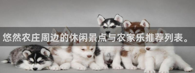 fh至尊凤凰是黑网